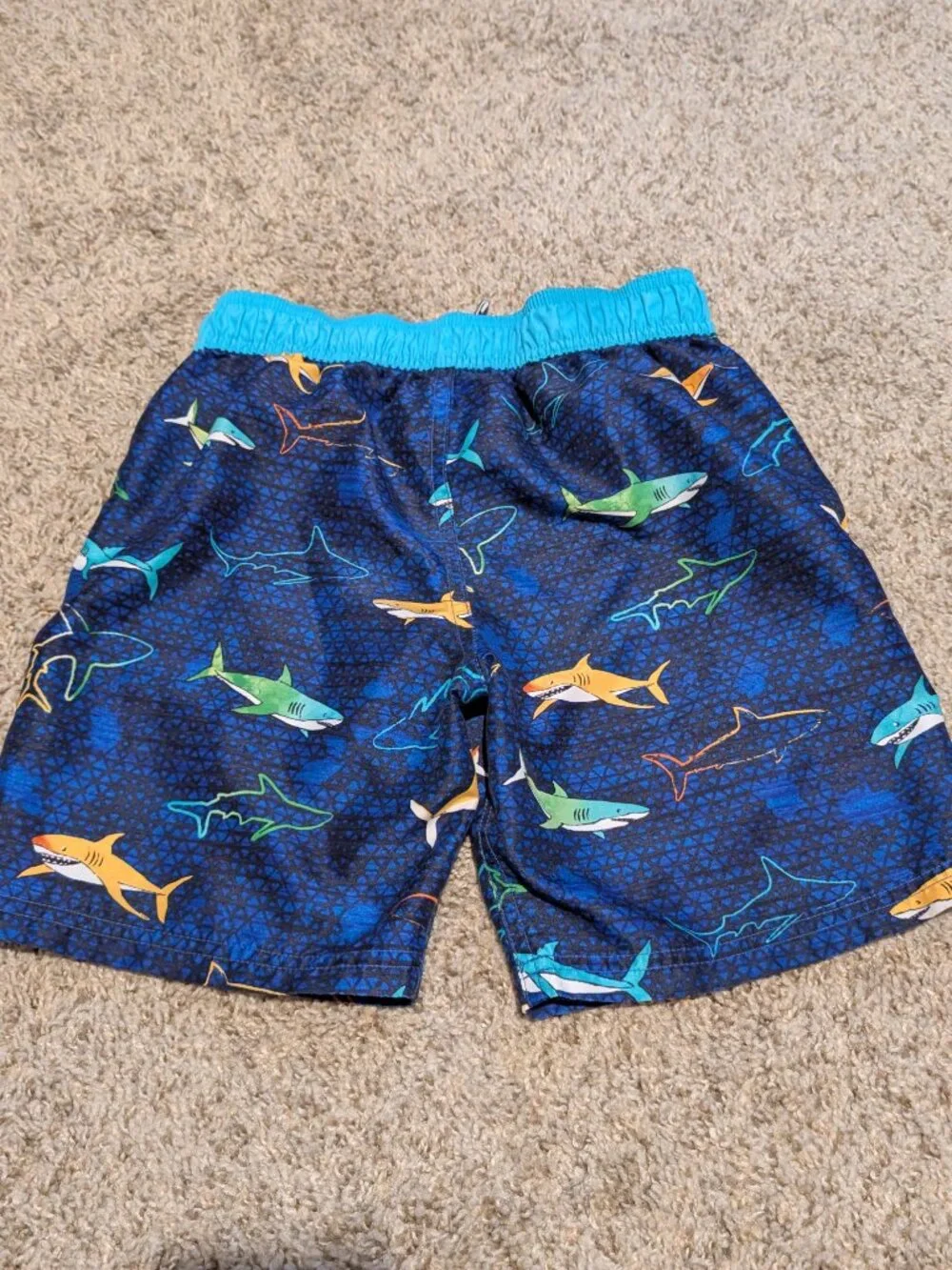 Boys ZeroXposure Swim trunks